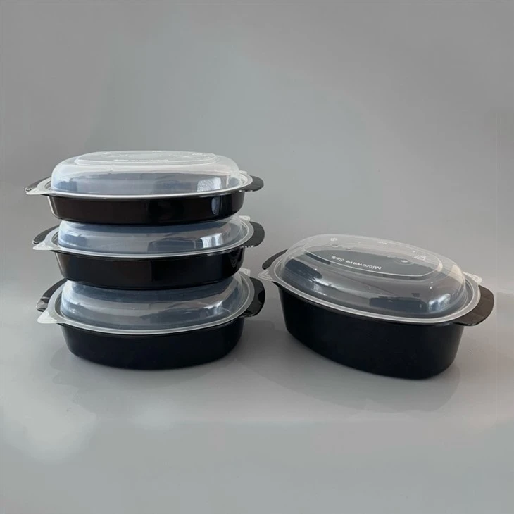 Lunch Box Mold